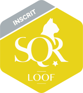 logo-SQR-N1
