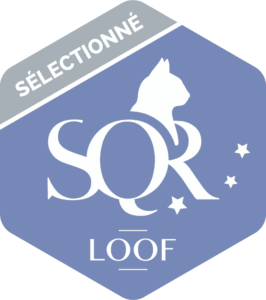 logo-SQR-N3