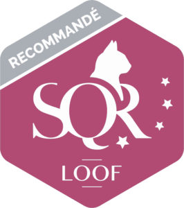 logo-SQR-N4