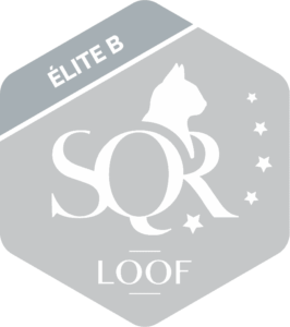 logo-SQR-N5