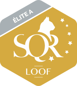 logo-SQR-N6